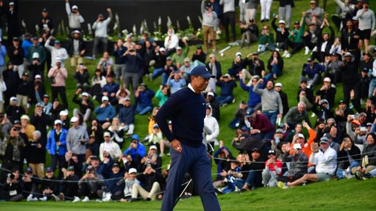 Woods is still the fans' favorite (Golf)