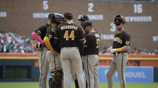 Padres struggle in 3-1 loss to Tigers (MLB)