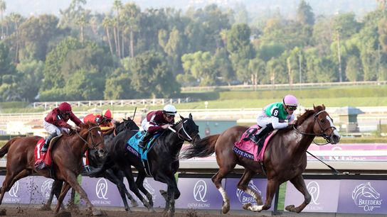 Road to Breeders' Cup taken Ellis Park (Betting)