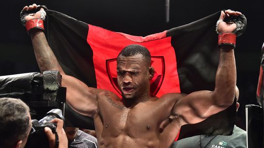 Almeida Wins At Home, UFC Fight Night São Paulo (Combat)