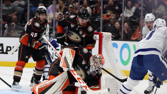 Ducks fall to Leafs in overtime despite career night from Dostál (News)