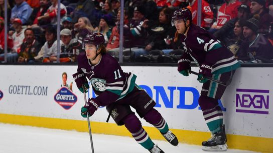 Ducks end homestand with loss to Red Wings (News)