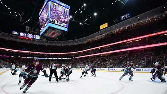 Ducks sunk by Kraken in final game of season series (News)