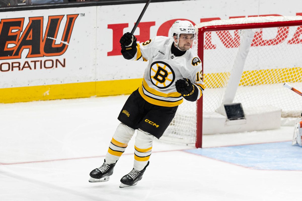 Boston Bruins R Matej Blümel (13) celebrates after scoring a goal during an NHL game against the Anaheim Ducks on November 19, 2025 in Anaheim, Calif. Boston Bruins R Matej Blümel (13) celebrates after scoring a goal during an NHL game against the Anaheim Ducks on November 19, 2025 in Anaheim, Calif.