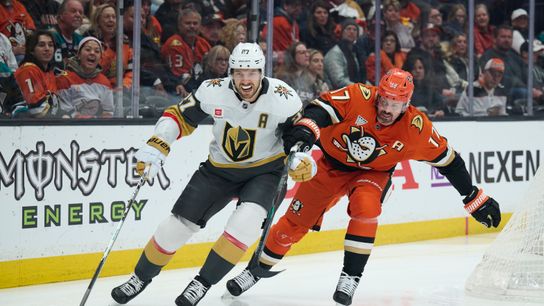 Golden Knights' late comeback not enough to overcome Ducks in 4-3 loss taken at Honda Center (Vegas Golden Knights)