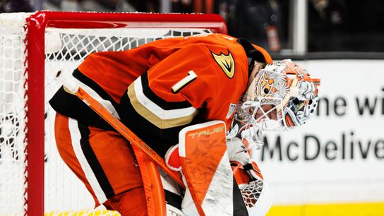 Ducks continue free fall, shutout by Predators in sixth straight loss taken at Honda Center (Anaheim Ducks). Photo by Jordan Carroll - The Sporting Tribune