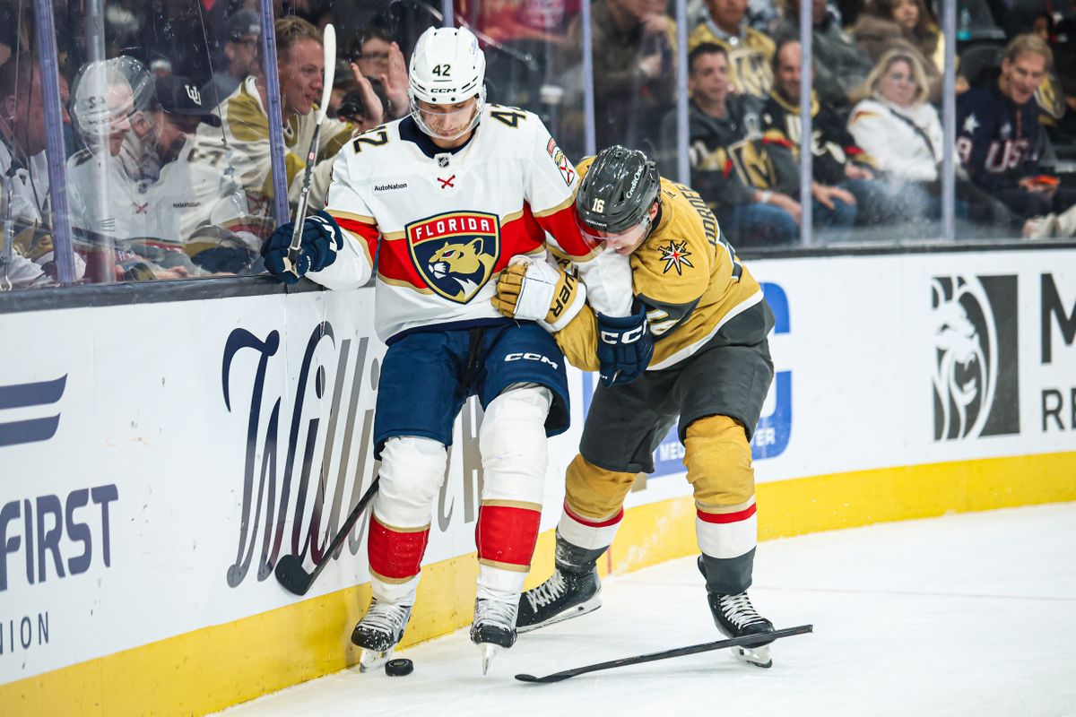 Florida Panthers D Gustav Forsling (42) fights for the puck against Vegas Golden Knights RW Pavel Dorofeyev (16) during an NHL game on Monday November 10, 2025, in Las Vegas, Nevada. Florida Panthers D Gustav Forsling (42) fights for the puck against Vegas Golden Knights RW Pavel Dorofeyev (16) during an NHL game on Monday November 10, 2025, in Las Vegas, Nevada.