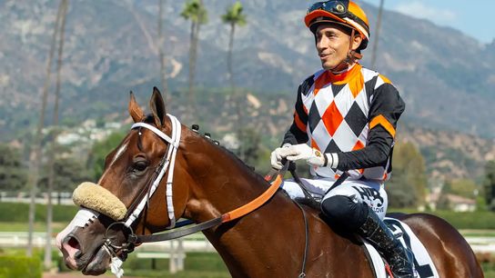 Santa Anita Saturday: Kentucky Derby starting spot on the line taken at Santa Anita Park (Horse Racing). Photo by Santa Anita Park.
