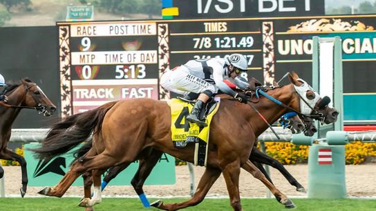 Santa Anita Saturday: King of Gosford returns in American Stakes taken at Santa Anita Park (Horse Racing)