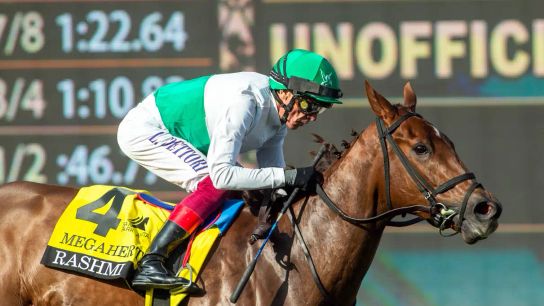 Santa Anita Saturday: Rashmi Returns in Wilshire Stakes taken at Santa Anita Park (Horse Racing). Photo by Santa Anita Park.