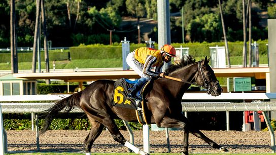 Santa Anita Saturday: Down The Hill We Go taken Arcadia, CA (Horse Racing). Photo by Santa Anita Park.