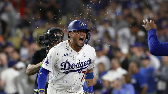 Miguel Rojas' pinch-hit homer lifts Dodgers past Rays taken at Dodger Stadium (Los Angeles Dodgers)